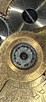 IMG_7809-compressed.jpeg