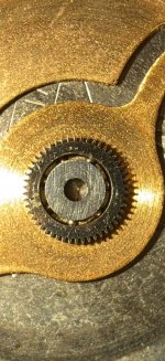 IMG_7810-compressed.jpeg